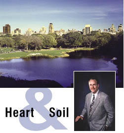South Living article image