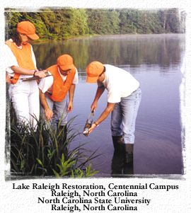 Environmental Sciences image